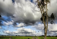 手机虎扑:西甲:巴塞罗那以1比0 小胜阿拉维斯.