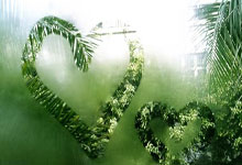 迈阿密站第八日赛程:郑钦文vs萨巴伦卡不早于7点开球 张帅出战.